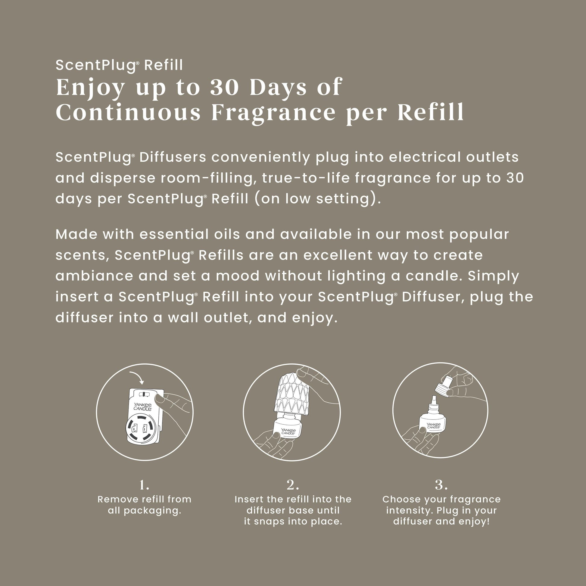 Campfire Nights